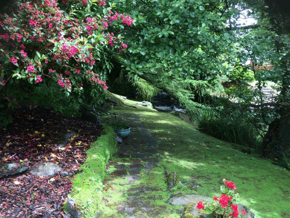Yr Hen Felin - The Old Mill 4*