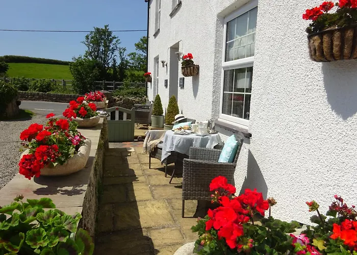 Yr Hen Felin - The Old Mill B&B