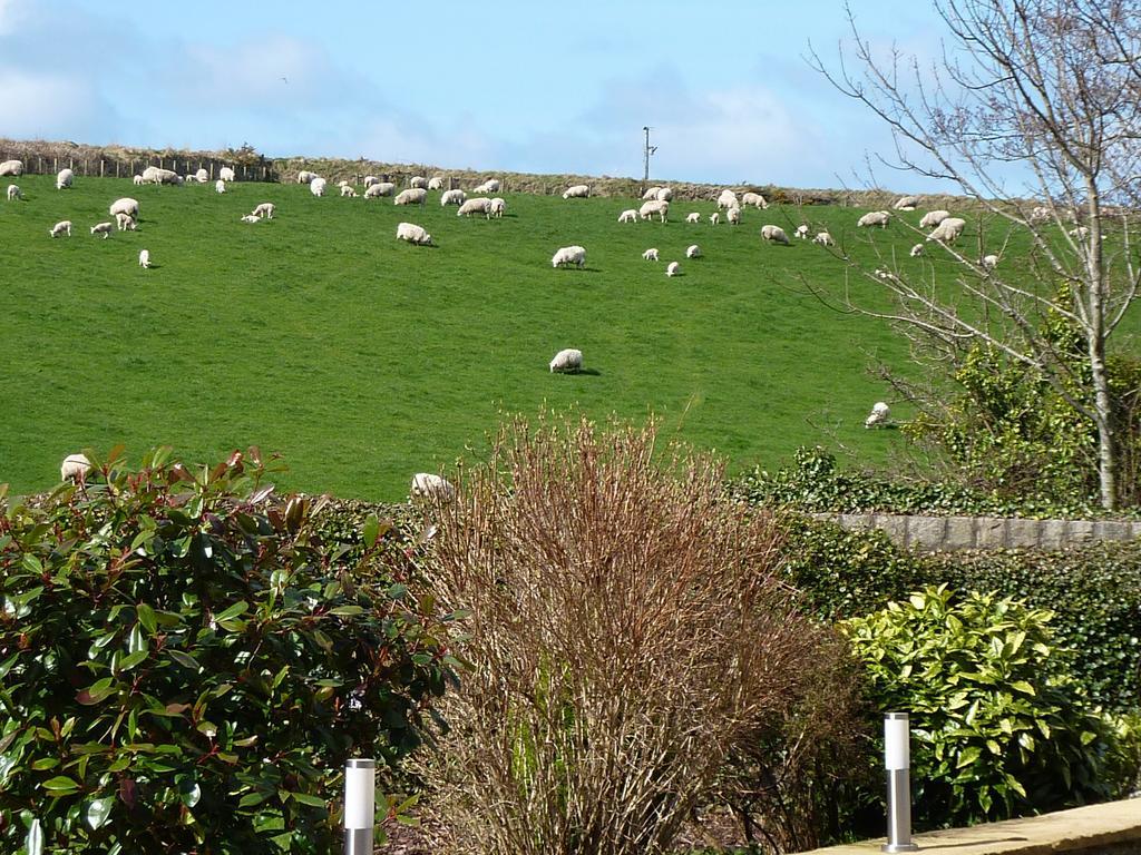 Yr Hen Felin - The Old Mill Morfa Nefyn