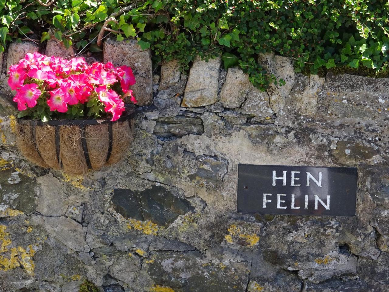 Bed & Breakfast Yr Hen Felin - The Old Mill 4*
