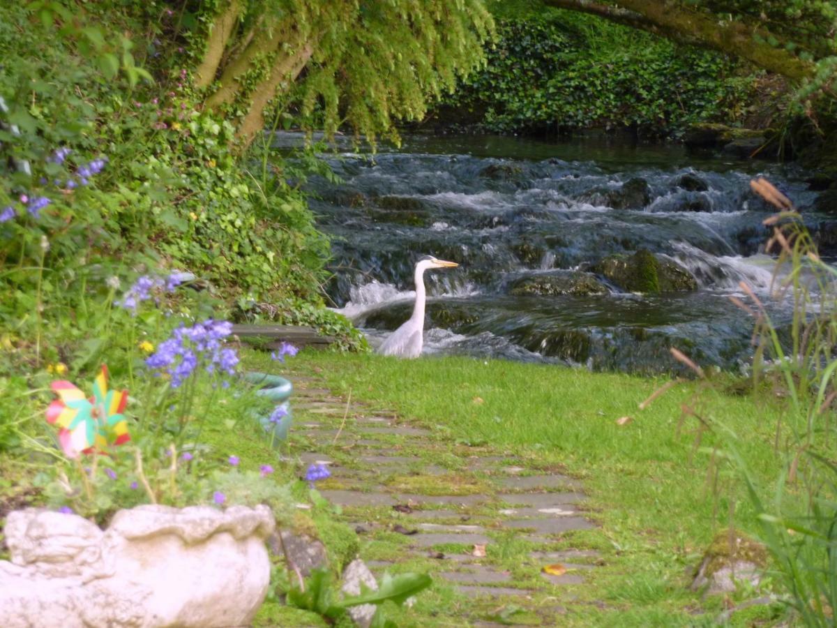 Bed & Breakfast Yr Hen Felin - The Old Mill